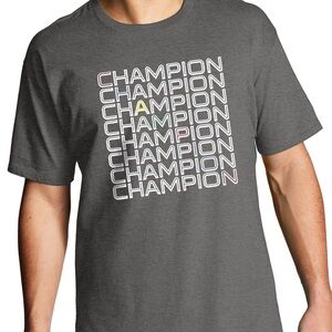 Champion Men's Gray T-Shirt, Size L